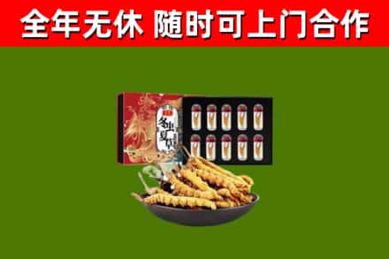 海棠区回收冬虫夏草价格